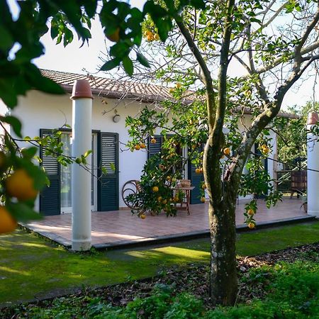Agriturismo Piccolo Canyon Piano di Sorrento Exterior foto