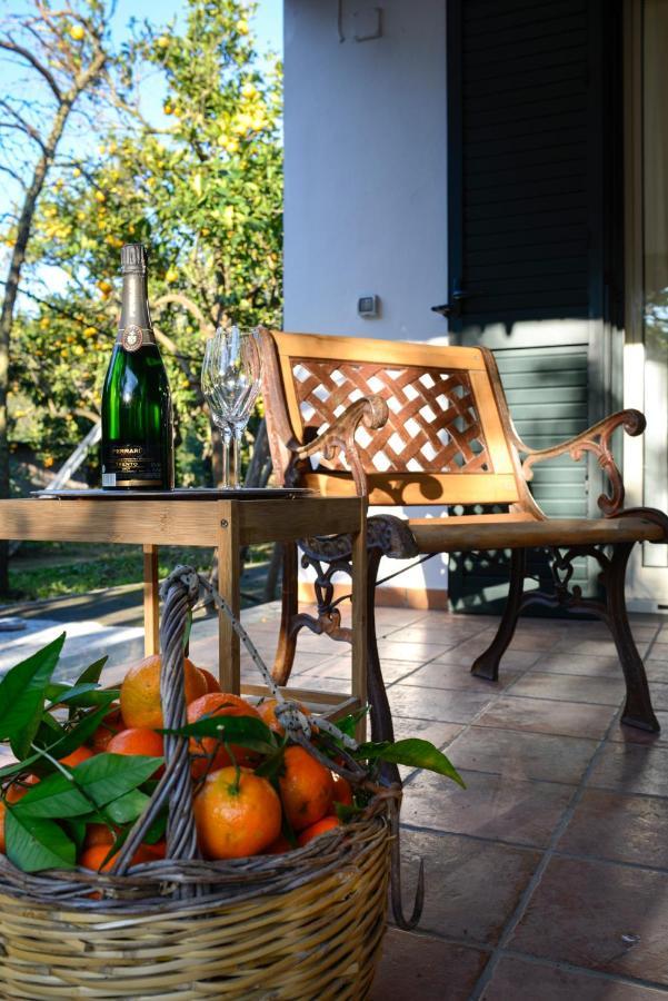 Agriturismo Piccolo Canyon Piano di Sorrento Exterior foto