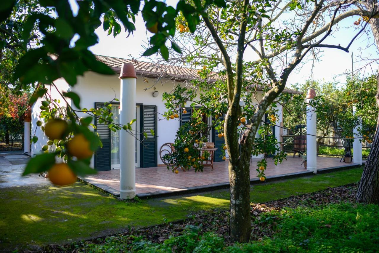 Agriturismo Piccolo Canyon Piano di Sorrento Exterior foto